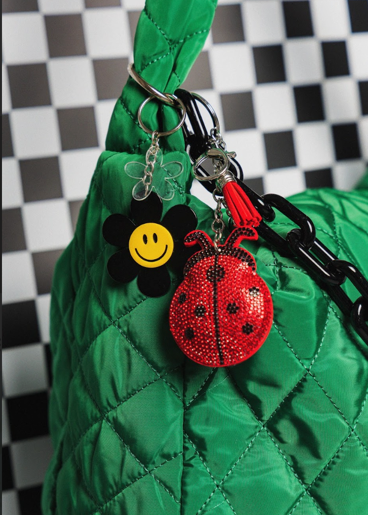 Red ladybug keychain with a black cord attached to a green textured surface against a checkered background.